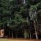 River Oasis Tiny House by Tiny Away