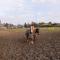Riding School Farm Stay, cleaning included