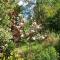 Chalet in Francorchamps near Ski Lift, cleaning included