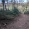 Chalet in Sourbrodt near Forest and Lake, cleaning included