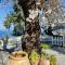Tranquil Mountain Hideaway with Stunning Sea Mountain Views Kyrenia, Cyprus