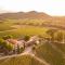 Gîte Vert dolive au milieu des vignes - Château Les Apiès