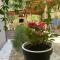 Guest House Alek
