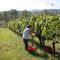 Agriturismo Le Cantine