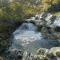 Rivulet Resort & Camping