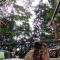 Breezes Ecolodge
