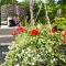 Belatrix nad Bałtykiem