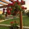Apartamento Turístico Los LLanos 8