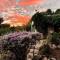 Rose Garden - Gan Vradim