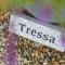 Tressa, Tor Down Quarry