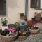 Il Borgo B&B - Castellinaldo