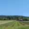Bien être en 5 étoiles au cœur du sud Ardèche, Domaine de Chaussy, rivières vignobles et villages classés