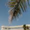 Melissi Beach Hotel