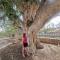 Awaken Your Hidden Goddess Retreat at Nissi Avenue - Central Ayia Napa