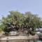 Awaken Your Hidden Goddess Retreat at Nissi Avenue - Central Ayia Napa