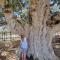 Awaken Your Divine Self Sacred Self Discovery Retreat in Ayia Napa Cyprus