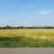 Holiday Home in Beemster by Windmill