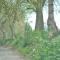 Villa Oesterdam Wellness 10 persons