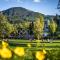 Ski In Ski Out Apartment w Pool and Hot Tub by Harmony Whistler