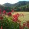 Holiday Home in Tuscany with Natural Pond