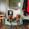 Wild Hideaways Luxury Lodges and Eco Spa