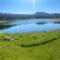 984 Pine Valley Forest Lakes