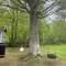 Holiday home RONNEBY VIII