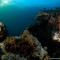 Sangat Island Dive Resort - Coron