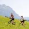 Apartment Neustift near Stubai Glacier, cleaning included