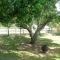 Luxury 2BD 2BTH Condo 5