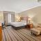 Comfort Inn Metro Airport