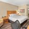 Comfort Inn Metro Airport