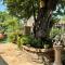 Ilios Guest House