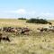Lalibela Game Reserve Marks Camp