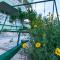 Apartment Stojan A1 Apartment Stojan A1