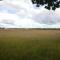 Relaxing Hideout in Hellendoorn