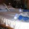 Pension Bran Ioana& SPA - 布朗