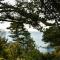 Salcombe Retreat