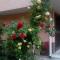 Lazur Hotel