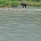 The Rampals Ganga Panoramic