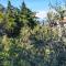 Holiday Home Darko
