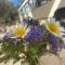 Glamping Algarve Olive Tree Lodge
