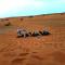 ERG MERZOUGA SAHARA CAMP