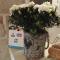 B&B Al Vecchio Borgo