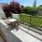 Adult Only - Hotel Suzanna
