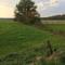 Holiday House in Friesland with Garden