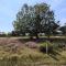 Farmhouse in Limburg near Designer Outlet