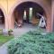 Allevamento B&B