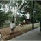 Discovery Parks - Hahndorf
