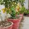 Atithi home stay and Cloud Kitchen